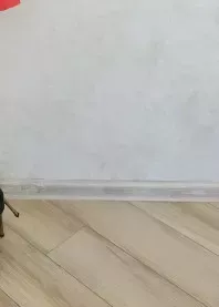 ����� 