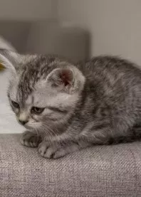 �����