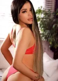 ���� 