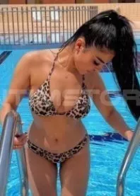 ������ 
