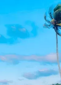 ����