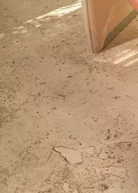 �����