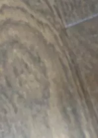 ���� �� �������
