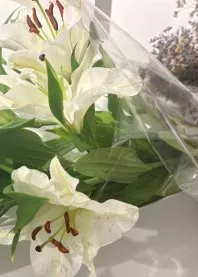 ����