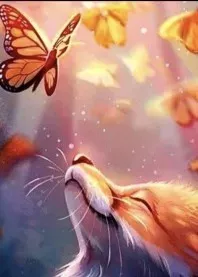 ����