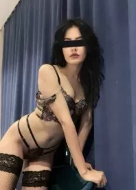 ��������  🐱