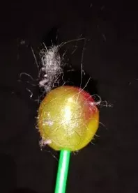 ����
