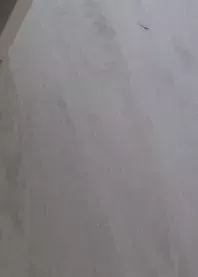 ����