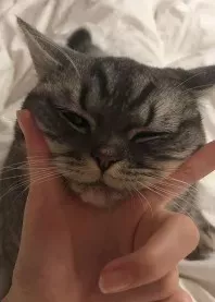 ����