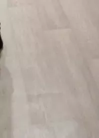 ����
