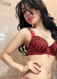������ 