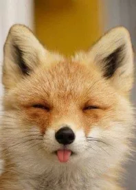 ��� 