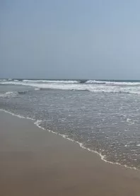 �����