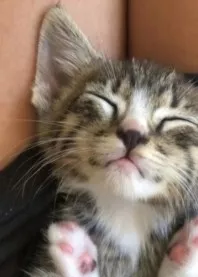 ����