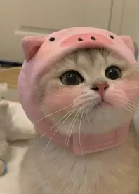 ����