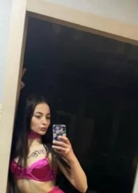 ������ 