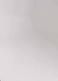 �������🦋
