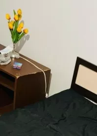 ��������