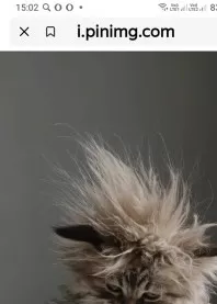 ����