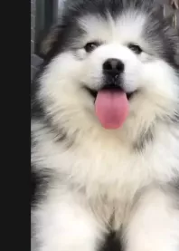 ����