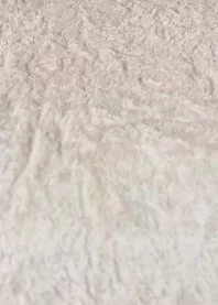 �������� �����😈㊥