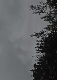 ������