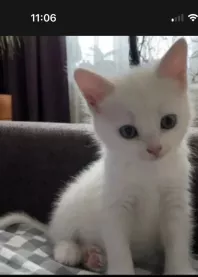 ����