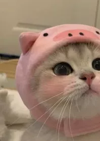 �����