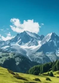 🥰����🥰