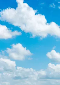 �