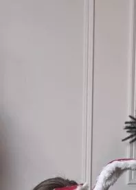����� 🦊