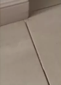 ������ 