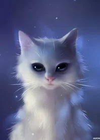 ����