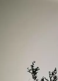 ������