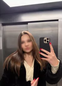 ���� 