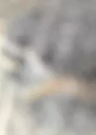 ������🤍
