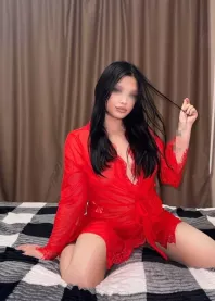 ������ 