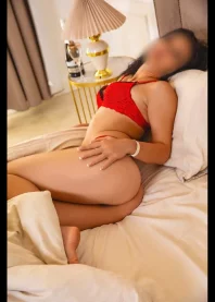 ������ 