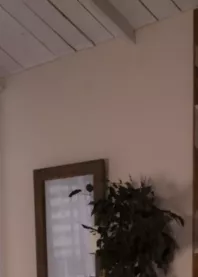 �����
