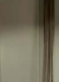  toy