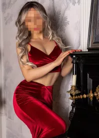 ������ 
